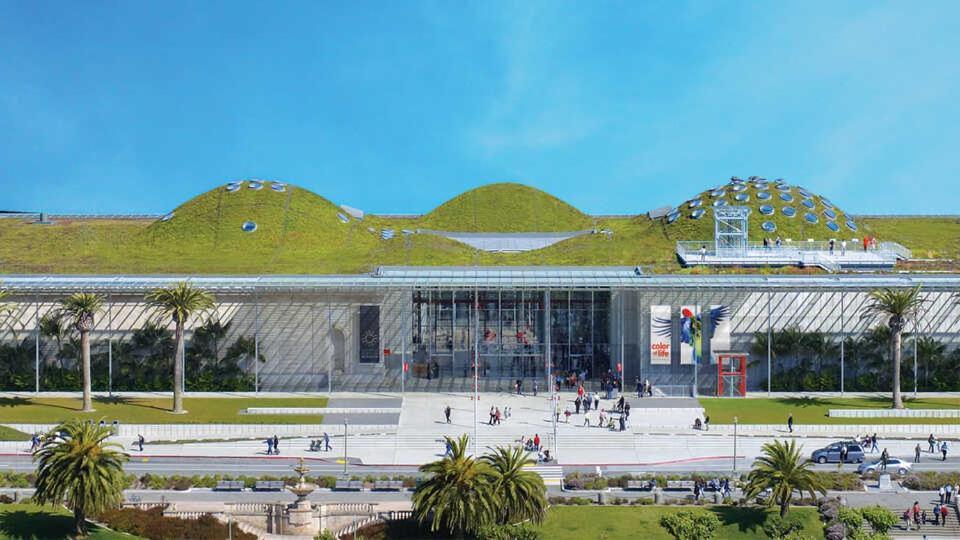 Golden Gate Park Suite San Francisco Eksteriør bilde