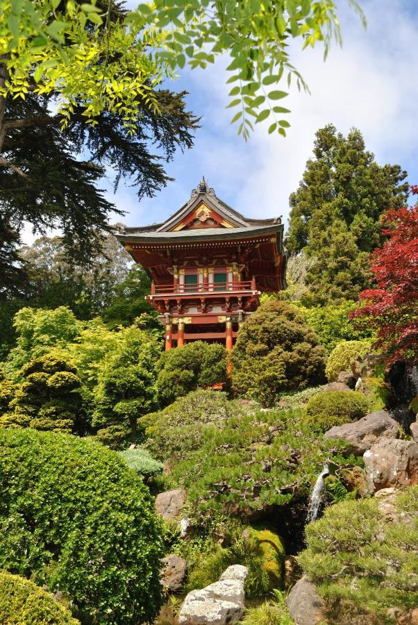 Golden Gate Park Suite San Francisco Eksteriør bilde