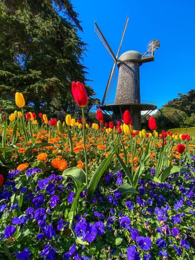 Golden Gate Park Suite San Francisco Eksteriør bilde