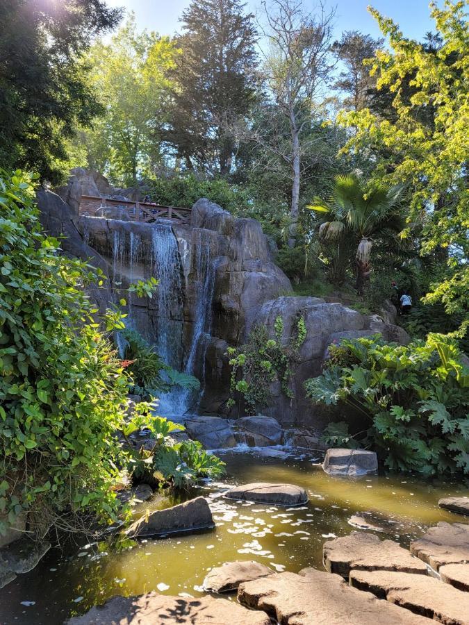 Golden Gate Park Suite San Francisco Eksteriør bilde