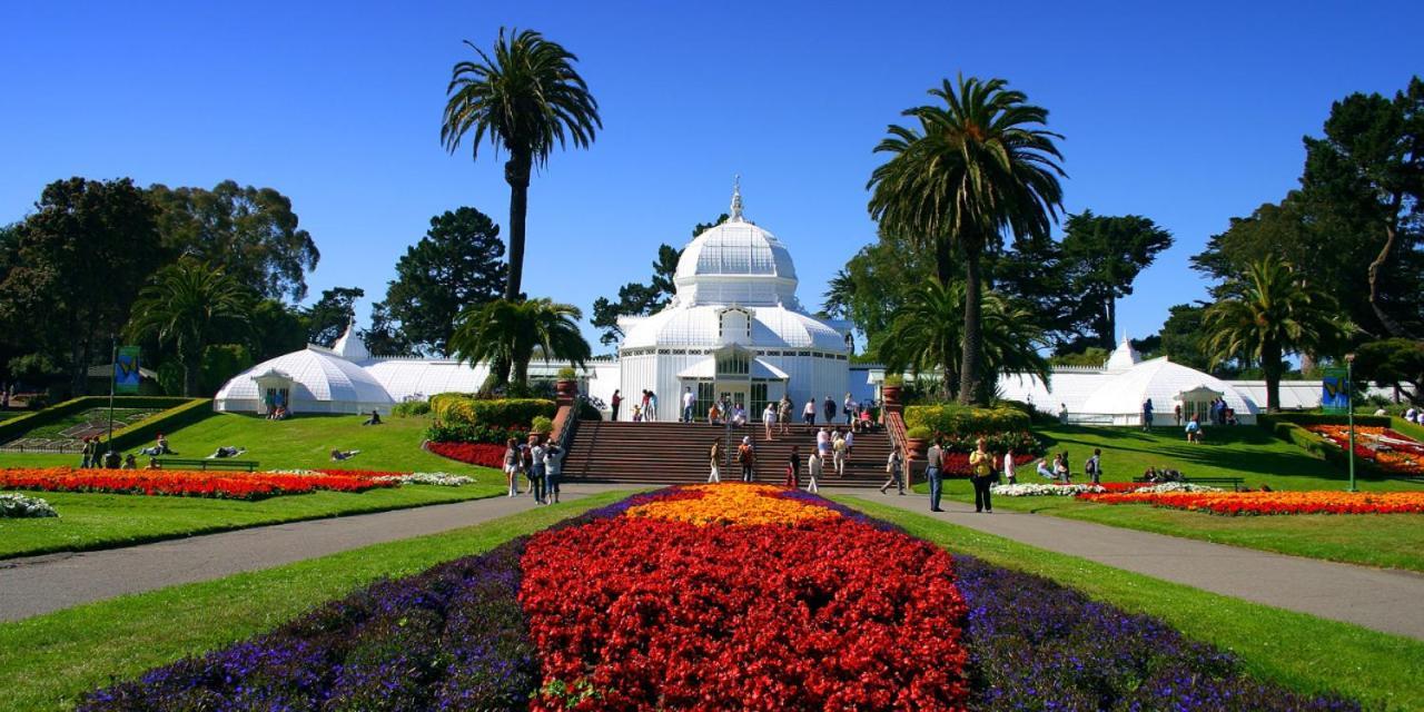 Golden Gate Park Suite San Francisco Eksteriør bilde